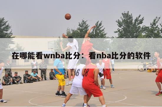 在哪能看wnba比分：看nba比分的软件