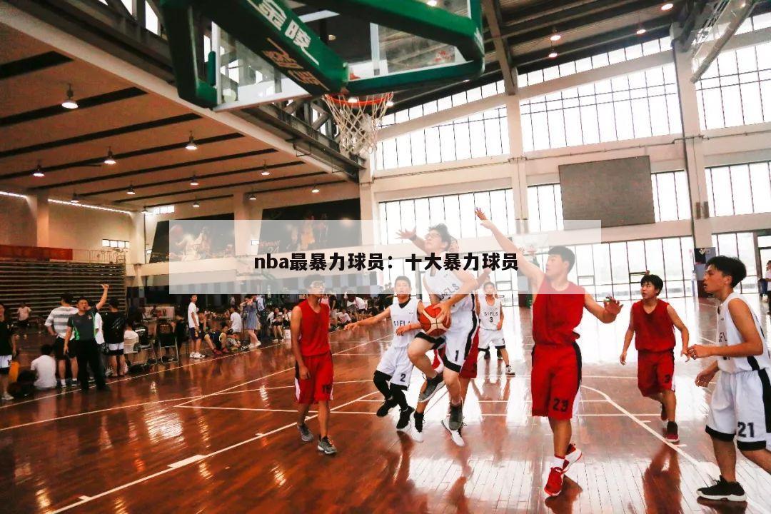 nba最暴力球员：十大暴力球员