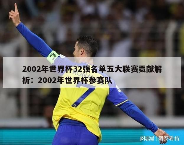 2002年世界杯32强名单五大联赛贡献解析：2002年世界杯参赛队