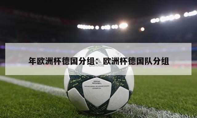 年欧洲杯德国分组：欧洲杯德国队分组