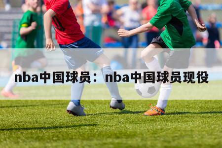 nba中国球员：nba中国球员现役