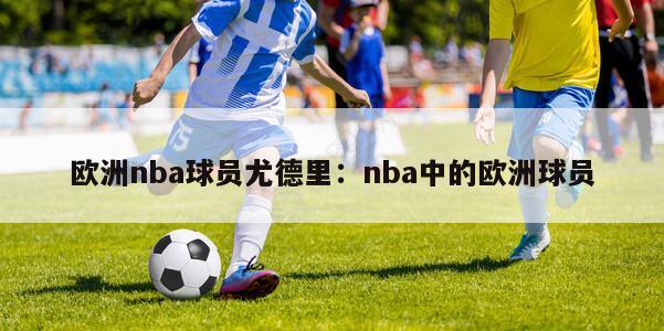 欧洲nba球员尤德里：nba中的欧洲球员