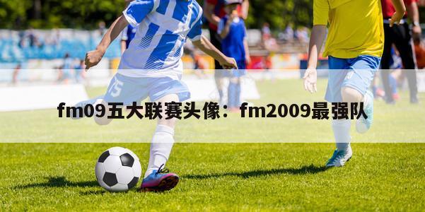 fm09五大联赛头像：fm2009最强队