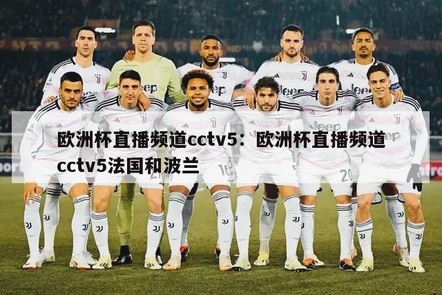 欧洲杯直播频道cctv5：欧洲杯直播频道cctv5法国和波兰