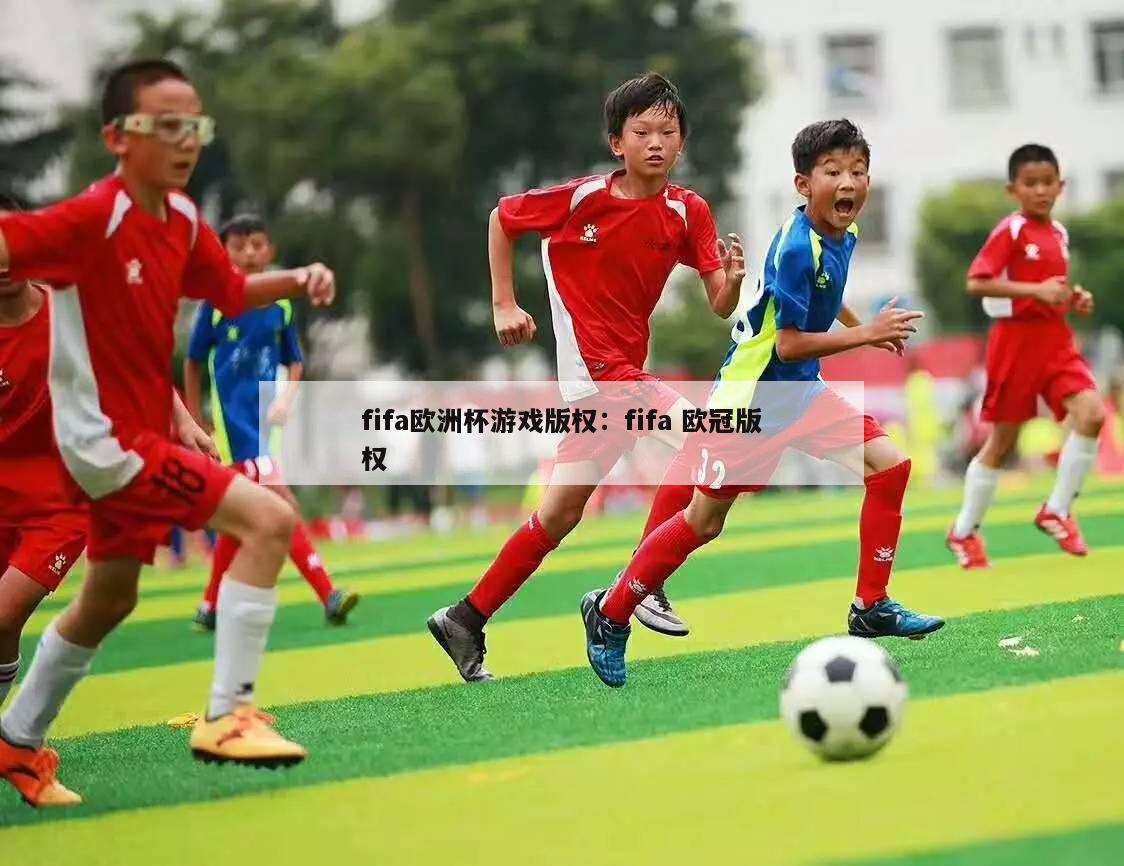 fifa欧洲杯游戏版权：fifa 欧冠版权