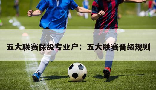 五大联赛保级专业户：五大联赛晋级规则