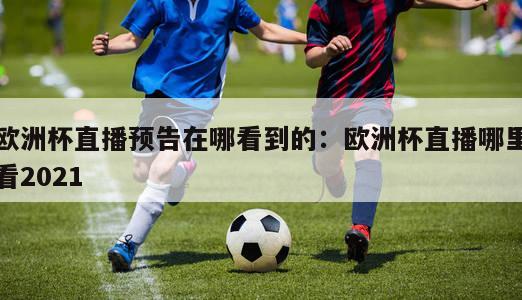 欧洲杯直播预告在哪看到的：欧洲杯直播哪里看2021