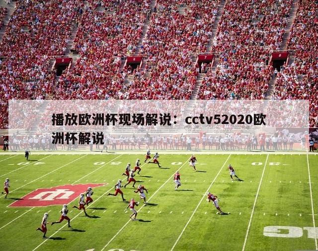 播放欧洲杯现场解说：cctv52020欧洲杯解说