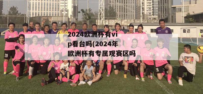 2024欧洲杯有vip看台吗(2024年欧洲杯有专属观赛区吗)