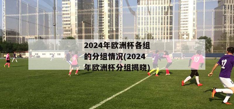 2024年欧洲杯各组的分组情况(2024年欧洲杯分组揭晓)