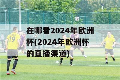 在哪看2024年欧洲杯(2024年欧洲杯的直播渠道)